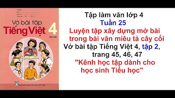 Tập làm văn lớp 4 - Tuần 25 - Vở bài tập tiếng việt 4 trang 45, 46, 47