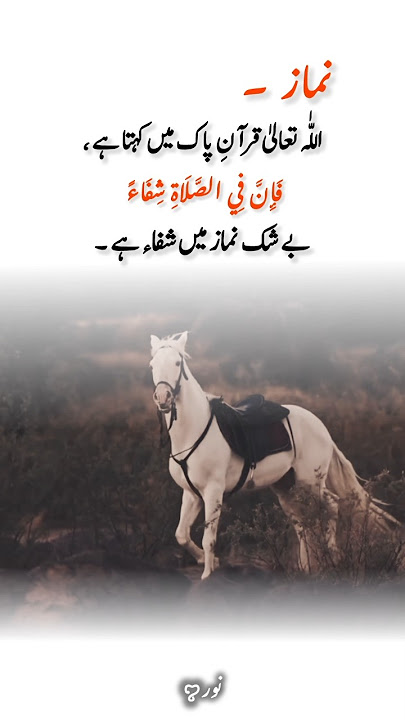 Deep line 🥀💥❤️‍🩹 | Urdu shayari | WhatsApp status | #noor_fatima_171 #1millionaudition #asthetic