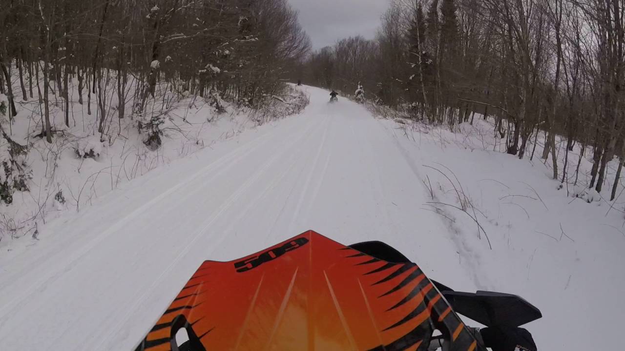 RIDER HITS MOOSE IN TRAIL!!!!!