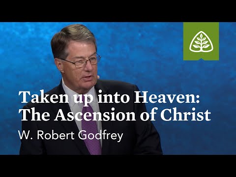Video: Ascension Of The Lord - Alternative View