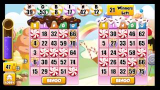 bingo partyland screenshot 3