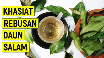 Luar Biasa! 13 MANFAAT DAUN SALAM UNTUK KESEHATAN | Mencegah Diabetes dan Asam Urat