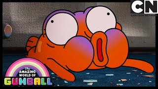 There Can Be Only One | The One | Gumball | Cartoon Network