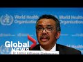 Coronavirus outbreak: World Health Organization provides update | LIVE