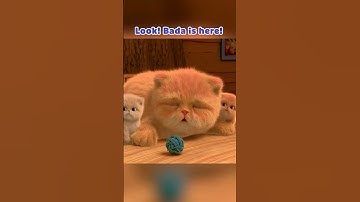 We ♥️ cats! Part 3: Don