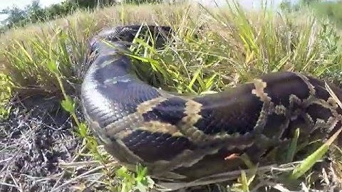 2016 Python Challenge Awards Ceremony