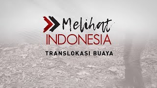 [FULL] Melihat Indonesia - Transloksi Buaya