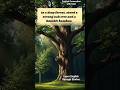 The Bamboo and the Oak | Short Moral Story | Bamboo | Oak | Life Lesson Story | Moral Story for Kids
