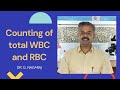 Counting of total wbc and rbc