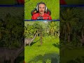 🦕 Anlaşamayan iki otçulu aynı bölgeye koydum! Jurassic World 2 #oyun #simulasyon