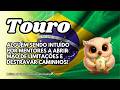 TOURO ♉ ALGUÉM SENDO INTUÍDO POR MENTORES A ABRIR MÃO DE LIMITAÇÕES E DESTRAVAR CAMINHOS!