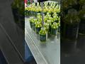Hair Product Manufacturing Process | OEM Factory #hairmanufacturer #hairbusiness ‎#العناية_بالشعر