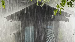 Sleep Hypnosis to Fall Asleep Fast | Torrential Rain & Intense Thunder on Old Cabin Roof in Forest