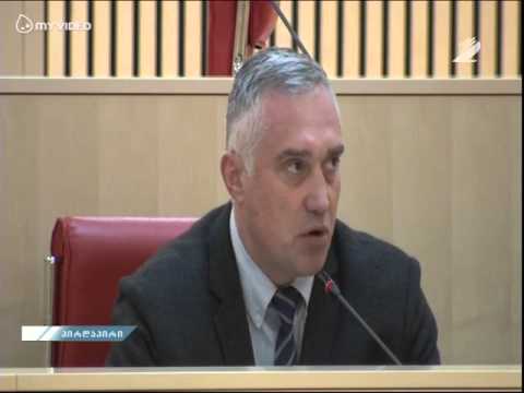 ზვიად ძიძიგურის გამოსვლა პარლამენტის პლენარულ სხდომაზე