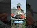 gunki ILLEX POWER #gunki #illex #catchandrelease #bass #bassfishing