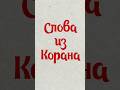 Слова из Корана! 6-неделя| 2-часть #коран #учиарабский