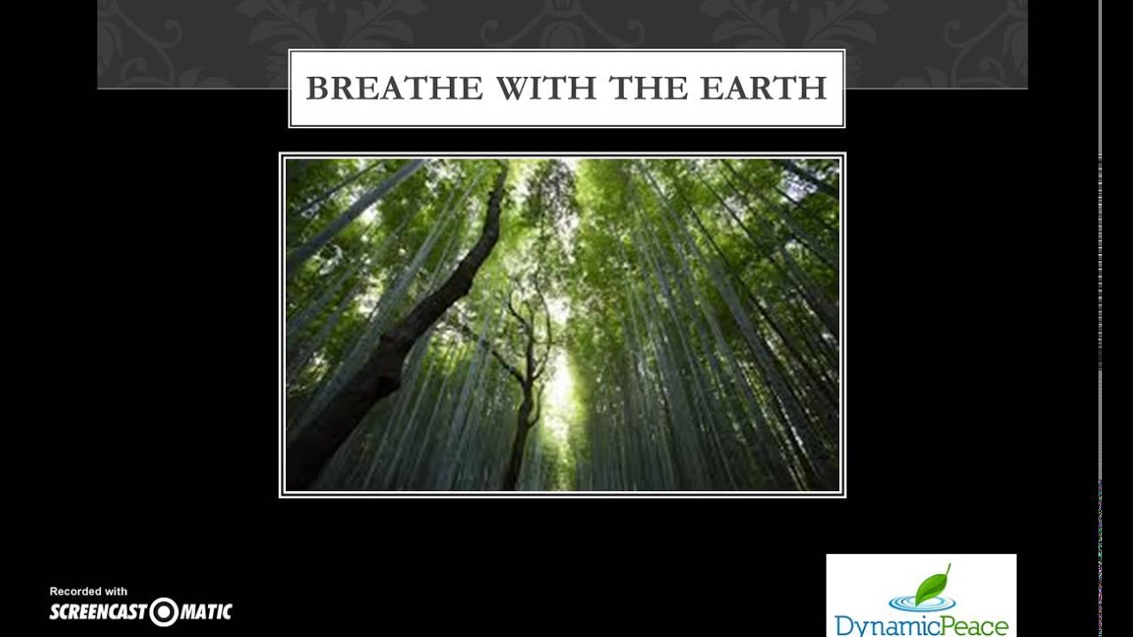 Practice Meditation Dynamic Peace