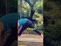 Clip From Erin&#39;s New &quot;Plank Infused Vinyasa Flow&quot; Yoga Class - Five Parks Yoga #homeyoga