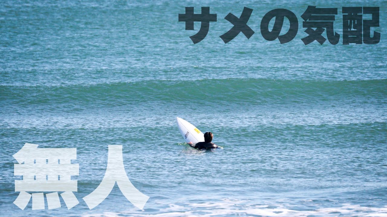 サメのニュースが多発の中無人サーフは怖すぎるって。！【DJI
