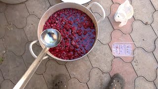 картинка: Вино из малины,лето 2023год.