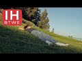 Illusion Hills Growingpains003 Official Music Video mp3