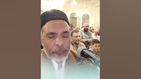 خشوع يملأ القلوب| التلاوة الكاملة تراويح 7 رمضان 1446| الشيخ مصطفى اللاهوني| مسجد الخلفاء الراشدين