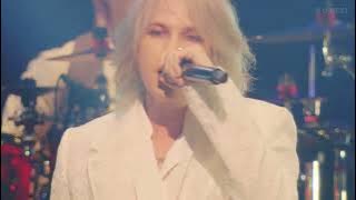 Like an Angel Spirit dream inside