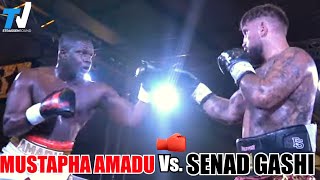 SENAD GASHI Vs. MUSTAPHA AMADU | Kompletter Fight | Backstage | TikTok | Walk In | Interview 📺 TV S