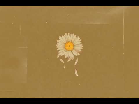 [ Vietsub ] Bonhoeffer - Liễu Sảng 朋霍费尔 - 柳爽