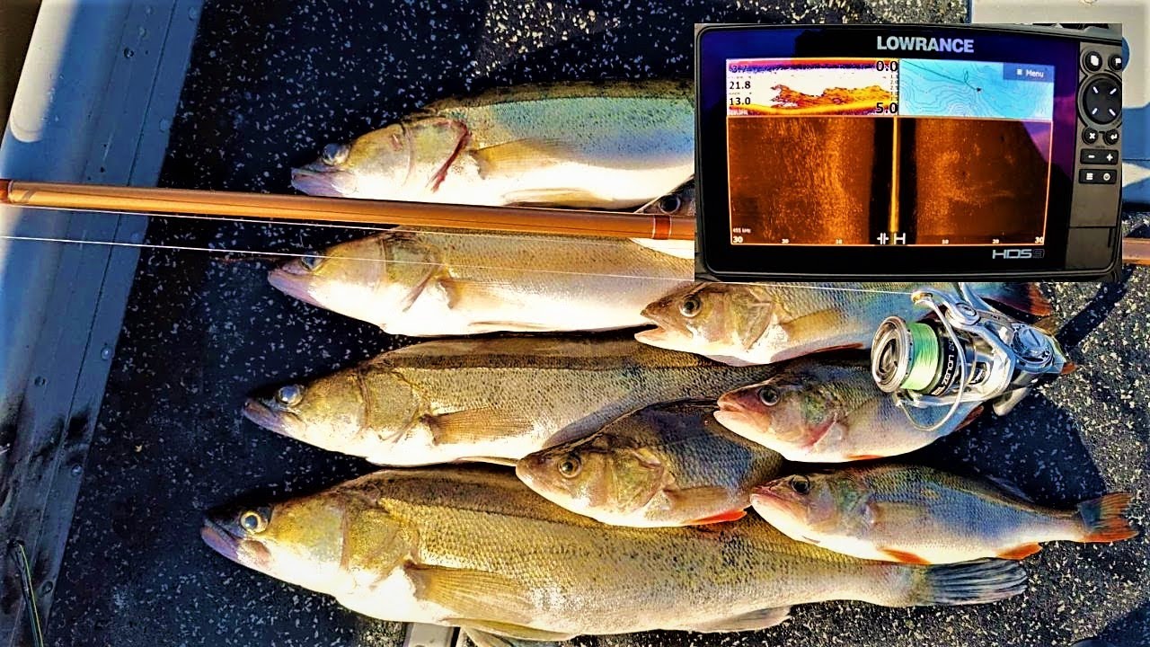 JIGIKALASTUS | ETSITÄÄN VIISTOLUOTAIMELLA KALAA! LOWRANCE HDS 9