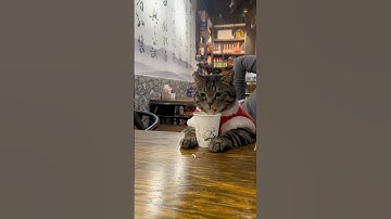 #foryou #funny #shortvideo #youtube