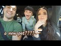 WE GOT A NEW PET!!! | The Chavez Family