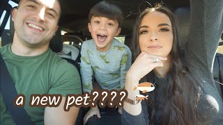 WE GOT A NEW PET!!! | The Chavez Family