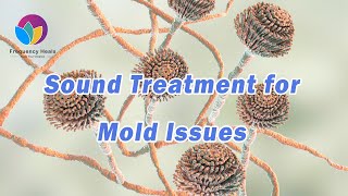 Sound Treatment for Mold Issues | Remove Molds in House Naturally | Healing Frequency