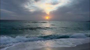 سورة مريم -هشام الهراز