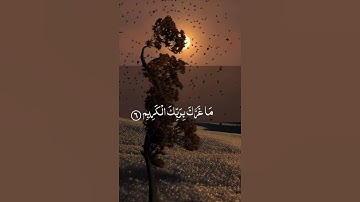 قرآن كريم بصوت جميل #قران_كريم #راحة_نفسية #اكسبلور #quran