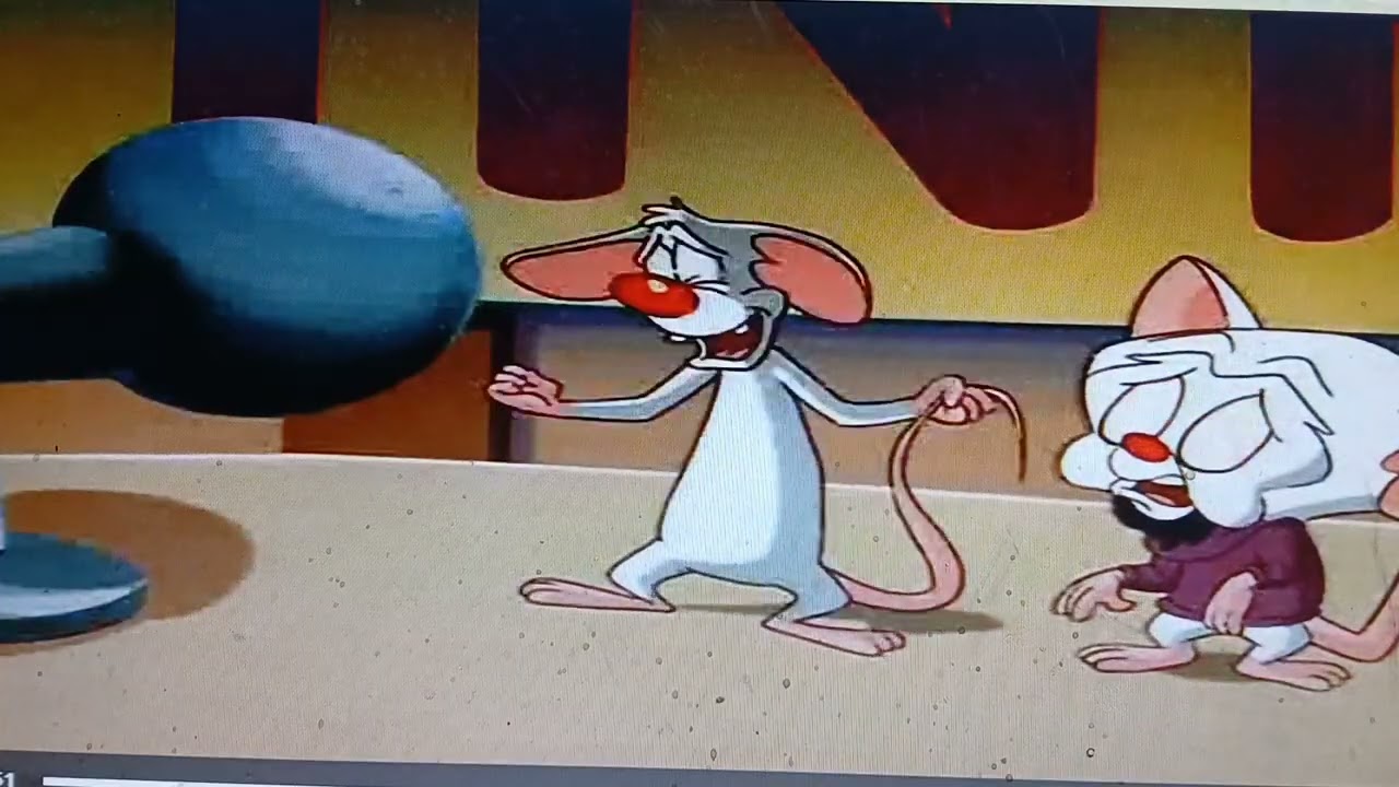 Pinky and The Brain - 🎼 You'll Be in My Heart ♥️