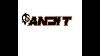 The Boy Wunda - Everybody - Andi T remix (sample)
