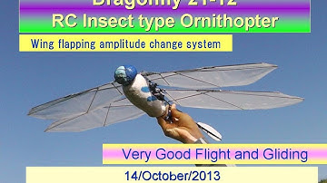 Dragonfly21-12 with Wing flapping amplitude change system: Very Good Flight and Gliding