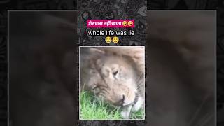 Lion Eating GRASS Is Actually Better Than You Think