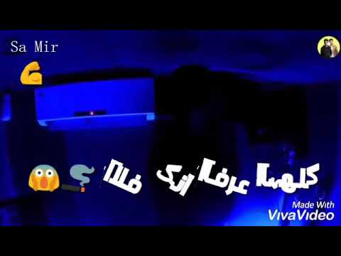 حلات وتس فيلو هتصيع ع مين ي فنله