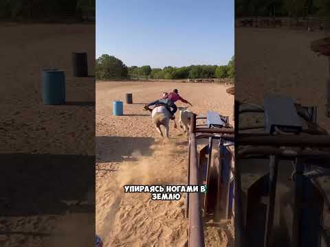 Обучался с самого детства 😮