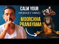 Monkey mind   moorchha pranayama  meditation is easier  sleep is easy now  prashantjyoga