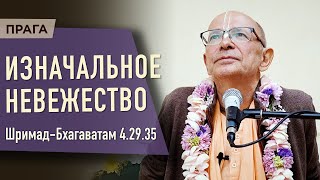 2023.06.14 - ШБ 4.29.35. Изначальное невежество (Прага) - Бхакти Вигьяна Госвами