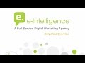 Eintelligence agency profile