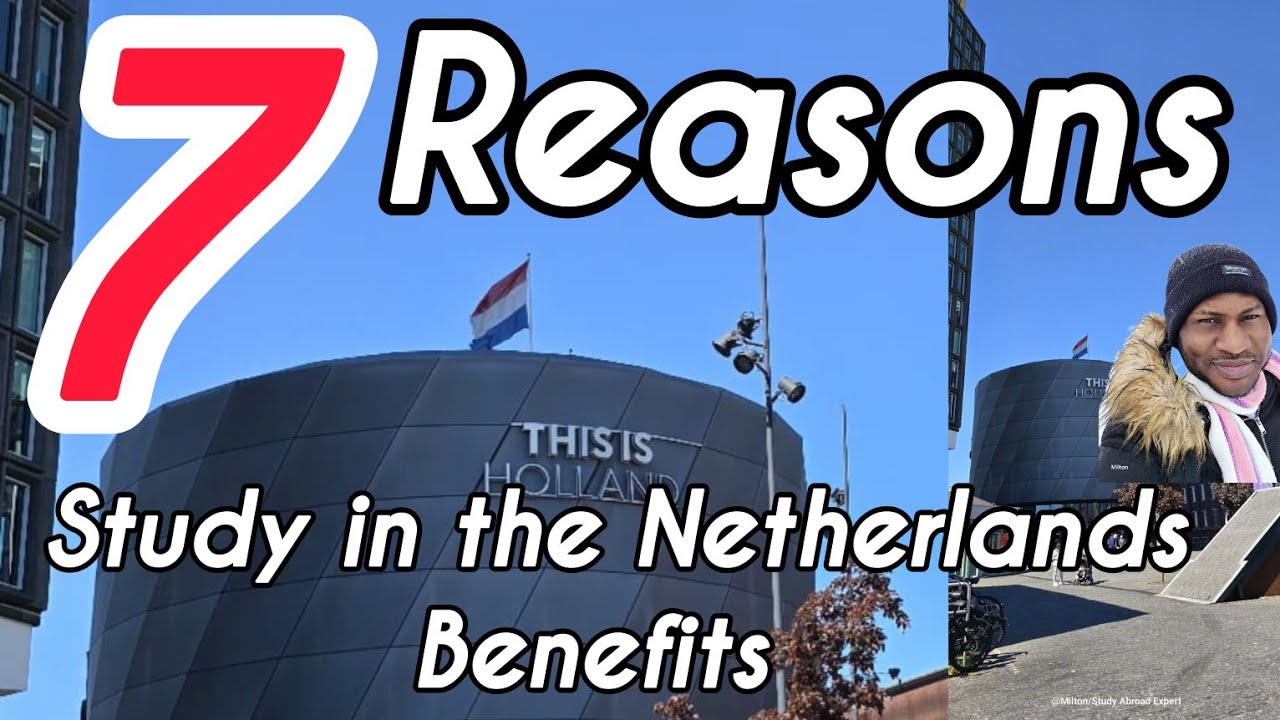 BENEFITS OF STUDYING IN THE NETHERLANDS 🇳🇱 AND LIVING IN THE ...