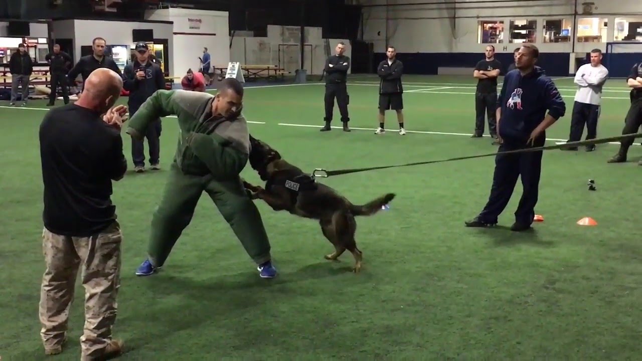 k9 police academy