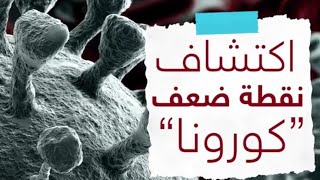 اكتشاف نقطة ضعف الكورونا | اقتراب نهاية الكابوس