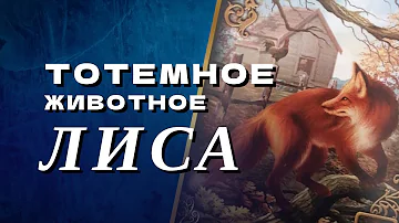 Ч.1. Тотемное животное — ЛИСА.