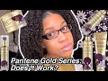 Pantene Gold Series Review... Does It Work? | Wash Day Routine 2020 | Black Natural Hair | Type 4